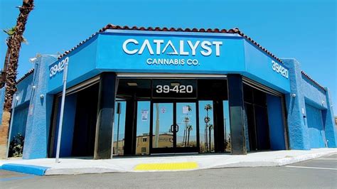 catalyst palm desert reviews